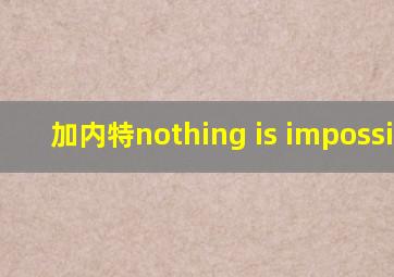 加内特nothing is impossible